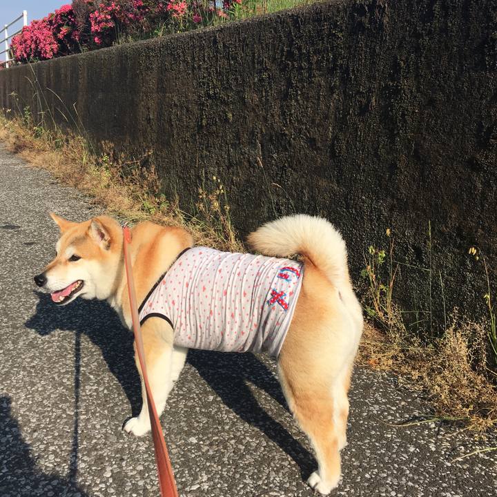 1a7b70d0 1b43 4277 bcbc 8af537bd8aa7 1558910183374