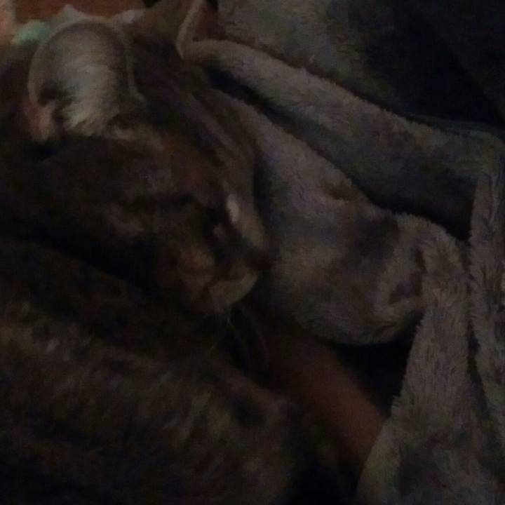 1a7b98cb b09e 4de2 a944 6c5819d25082 1550114507074