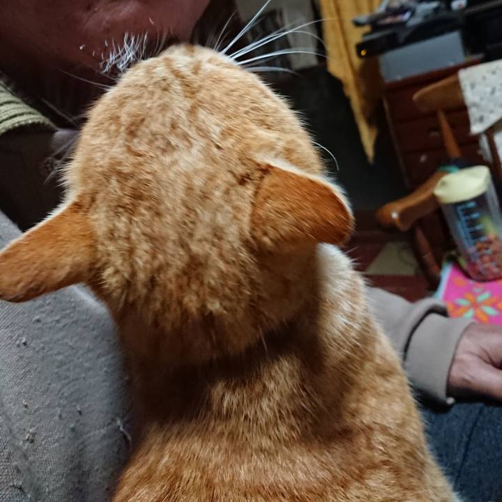 1a7b9942 7355 400f bf18 7431bb12ee51 1578516510856