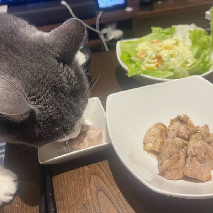 1a7bc096 ae4f 4dcf a176 f033354b88f5 1713093142717