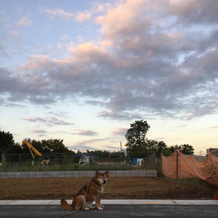 1a7c2057 7b8c 4b26 abb4 403542c2e409 1570611762898