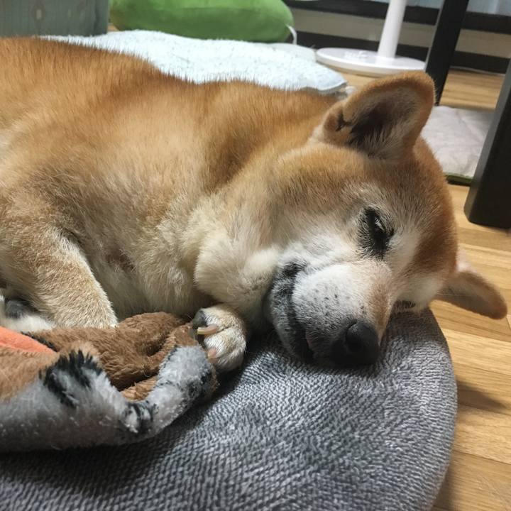 1a7c2657 f943 4baa a255 ad6f9fe2ab16 1539696639877