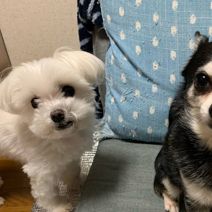 1a7c4ccf ea55 4a1b a2d8 521a6f0a3577 1681947544580