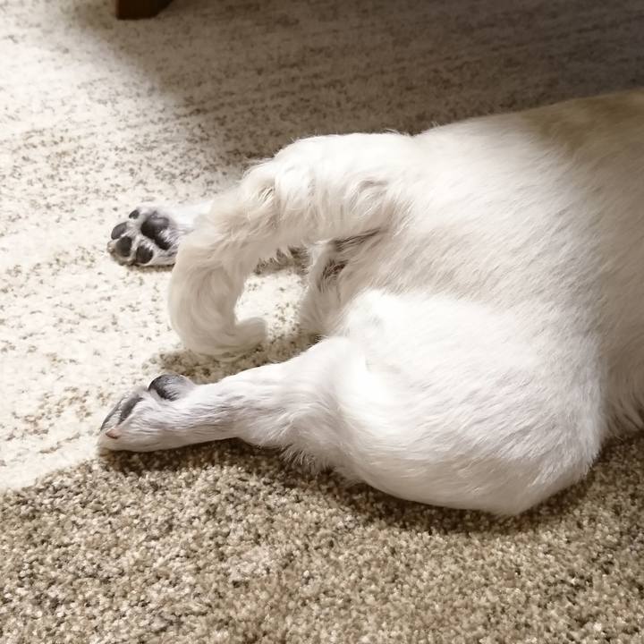 1a7c9eba dbad 4d43 999f 1a129ab3b154 1534340314013