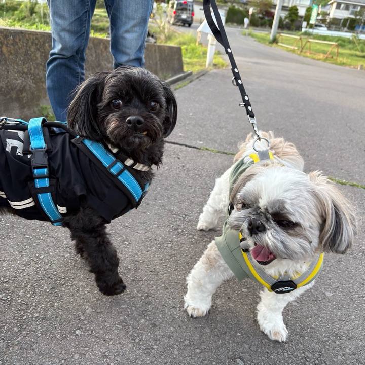 1a7cc769 4e6b 4fb7 833b f20db5f287f0 1762677758402