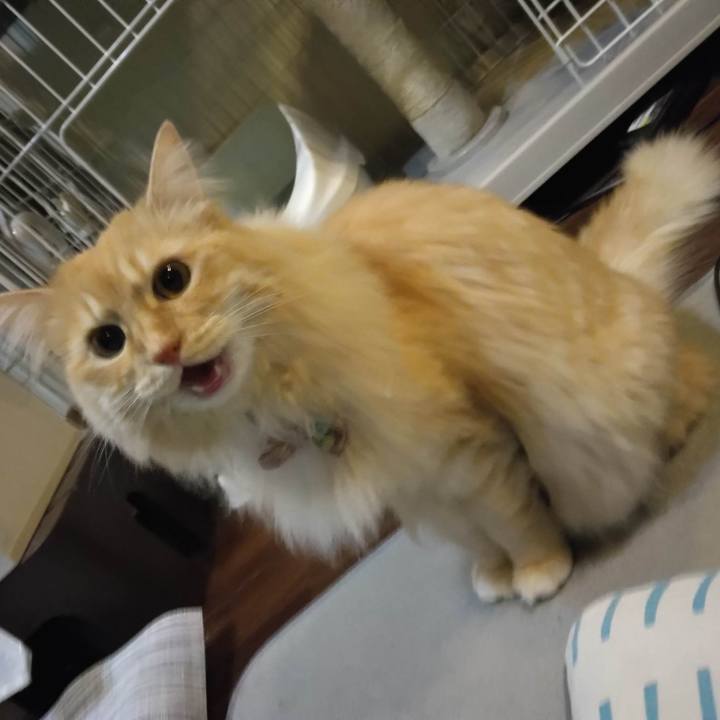 1a7cf37e a127 449d b283 24d527d2fe34 1686314131591