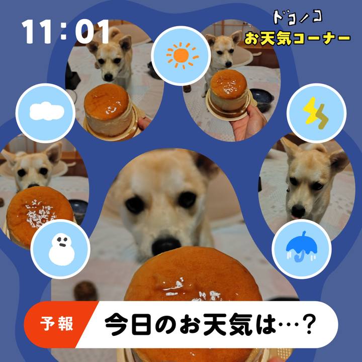 1a7d19a4 98d8 4fd6 b36c 68487b3f7c1e 1782013760311