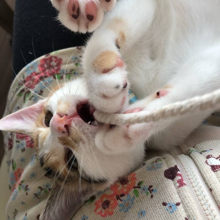 1a7d45c7 d2a9 4780 a0e8 2e2bcc803ee0 1565417564418