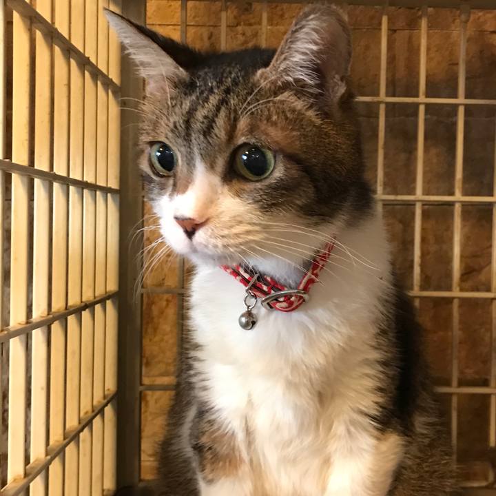 1a7d7875 346d 42b4 b90e 28507017f400 1572692205270