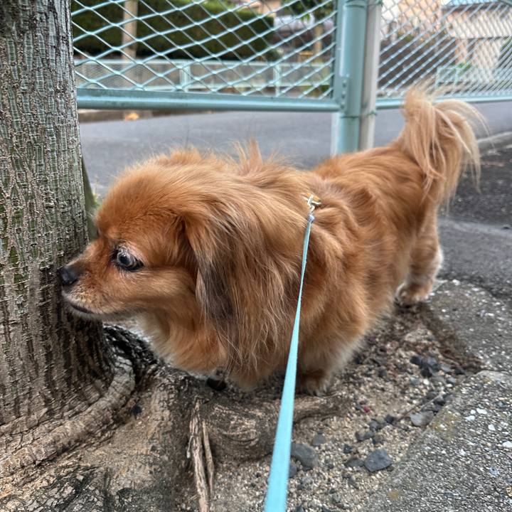 1a7dce95 84aa 4b03 a253 7c6723925d0b 1756674546757