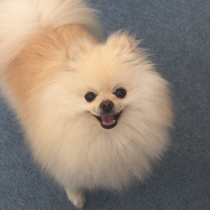 1a7dd83a 0935 460f 9058 c8ef589d8860 1527219677053