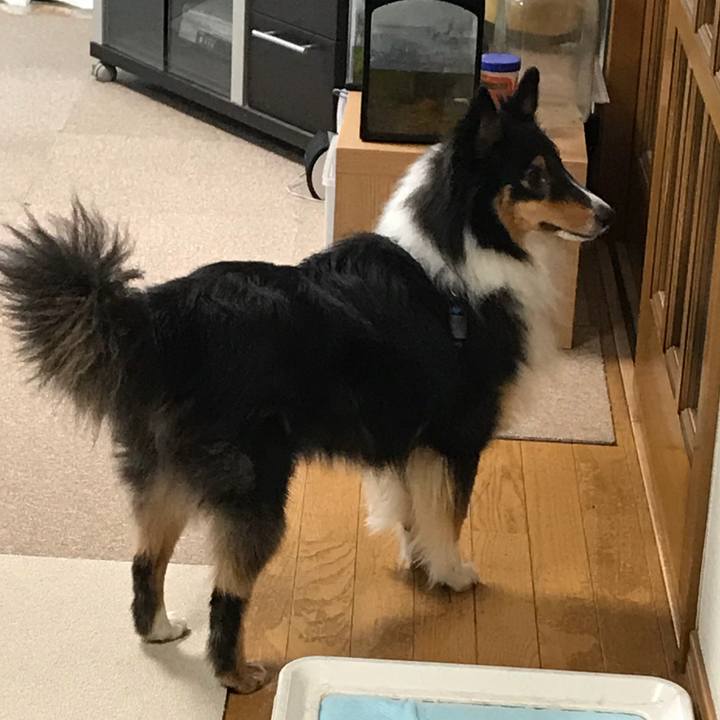 1a7e176d db7e 4dbb bc57 c63e8e005e3b 1537999562327