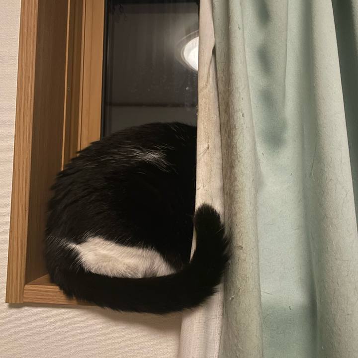 1a7e40b1 363e 4ea3 a197 d5cac368d63e 1708264760403