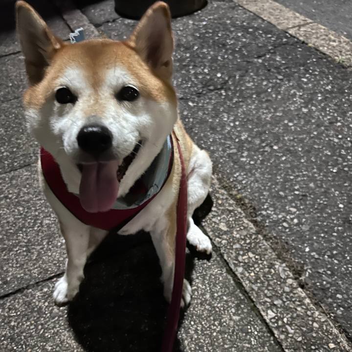 1a7e85a0 b78f 4113 9f7c 47d2d0bb1dfd 1726308426477