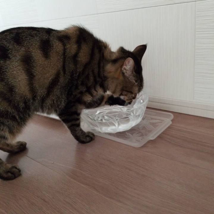 1a7e9a3f 0107 42d0 b425 509d8ff06d11 1567904899104