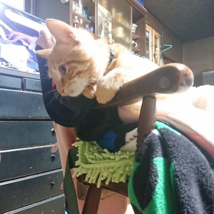 1a7e9fa3 5d8a 4836 8f2b 30eb40f9f51f 1637012053661