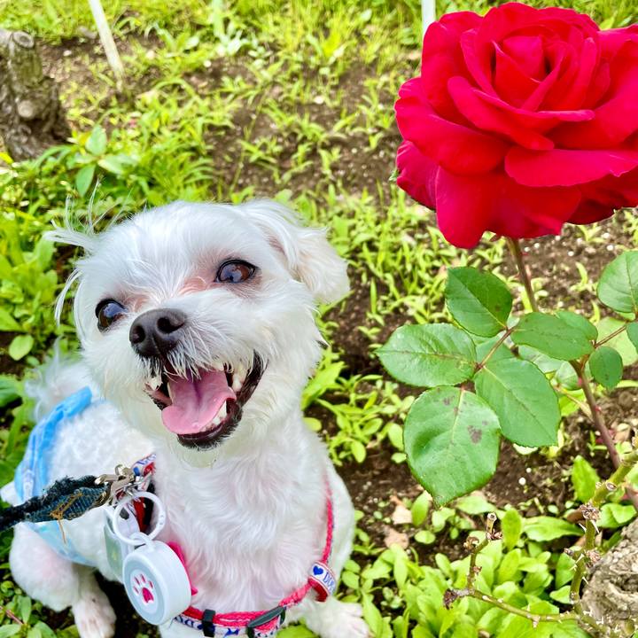 1a7eb59a 1baf 4018 821b df286d69d522 1623814965952