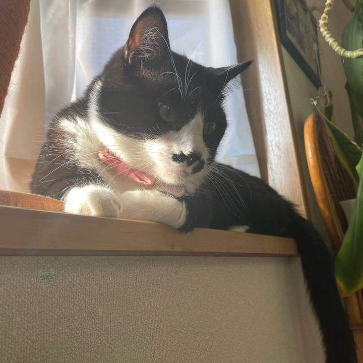 1a7ebaf2 34ec 4955 aef2 7e12e77dc2d7 1714253820320