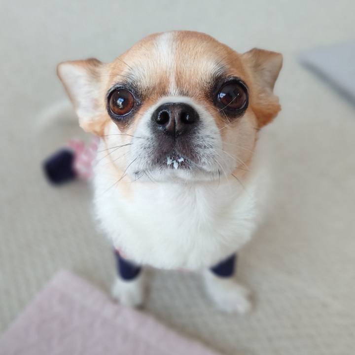 1a7ed861 fe62 44ce 8a52 32850f327c8d 1680508776487