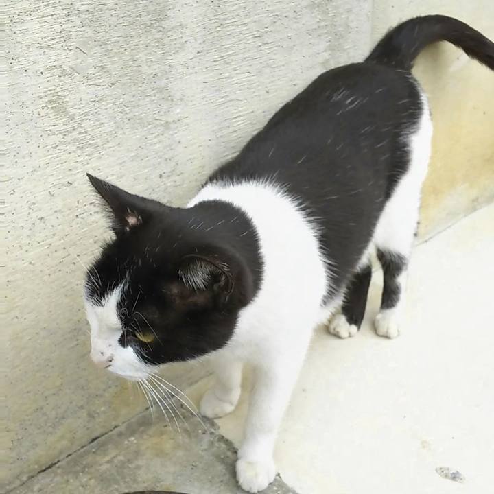 1a7ed9f9 4e0e 45db 9c3a 2cc4565ea705 1511933843335