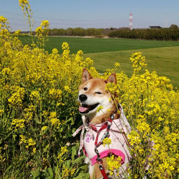 1a7edfad e64a 425a b5f2 df0d61e5f952 1679489703078