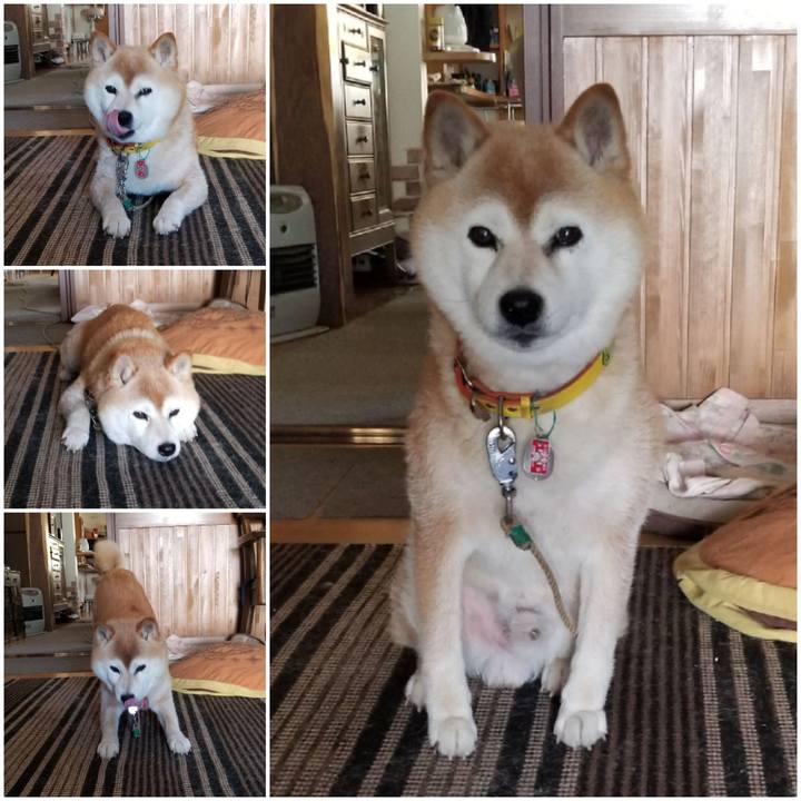 1a7f16c6 15a0 4ed7 9a59 e05d42181b87 1688604591821