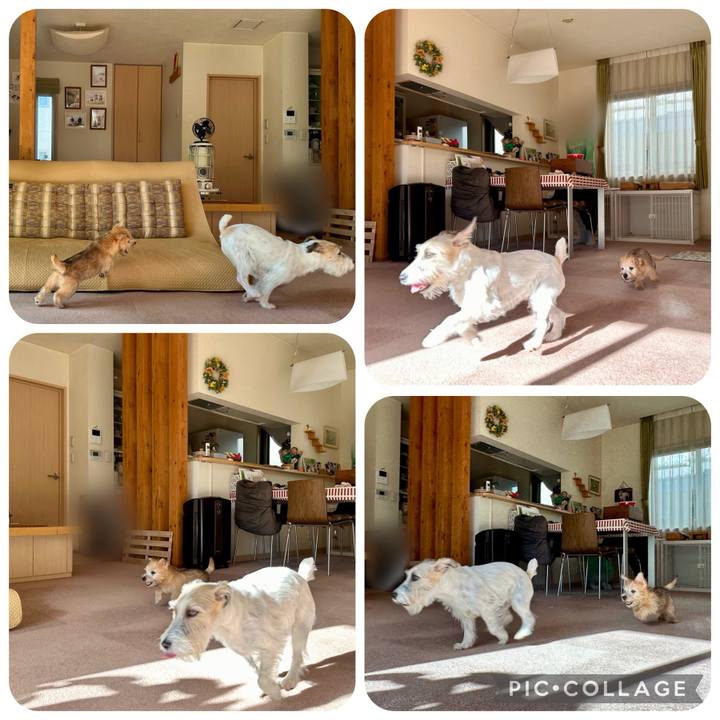 1a7f361d 00d7 4ee4 b50f 16765fa96bc1 1702228475354