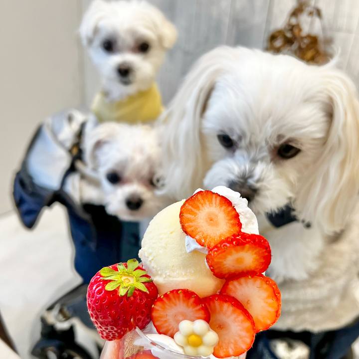 1a7f4d43 41f8 4f8c a164 f08e3a361f18 1677741912534