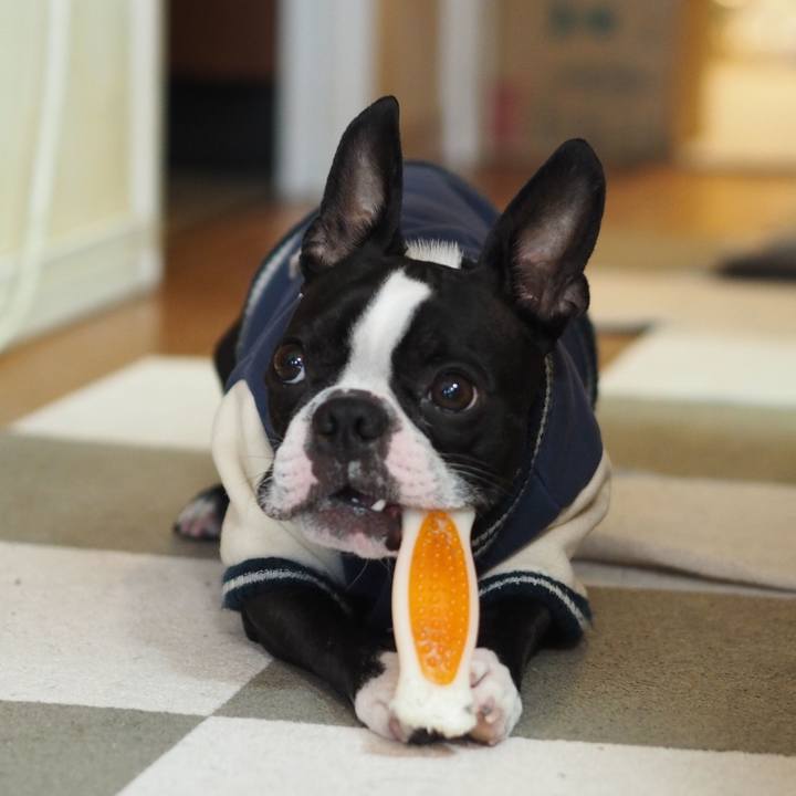 1a7f6530 f5a8 4637 a3e5 f526d23e3f7f 1615091618282