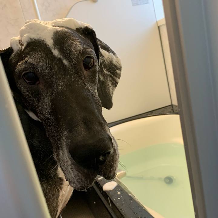 1a7f6e46 b2a7 40f7 a0c7 ee1eb2bb57ea 1603590857946