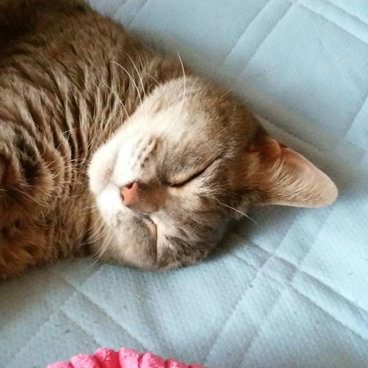 1a7fa215 6653 4b61 ab4e 196bc0c7af6f 1526983545572