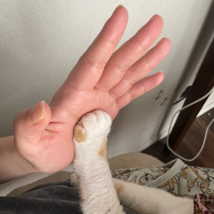 1a7fbd9f 10bf 4d09 8fa6 8344553643af 1752203758856