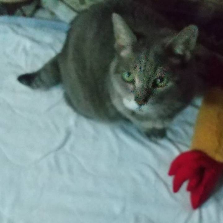 1a7fd636 30b3 439d b7a6 ffa9b8b5f0c3 1673166661352