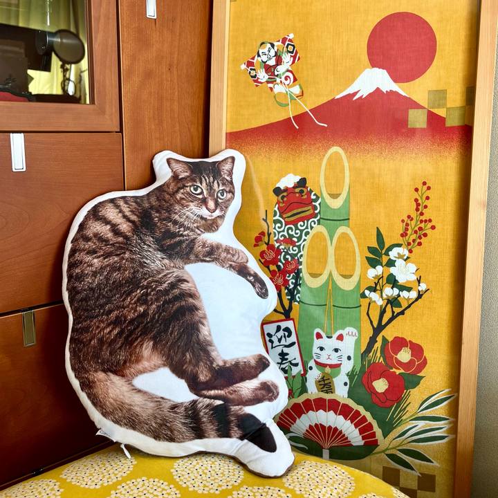 1a7ffb54 6362 4c79 b511 17377bb7fb1b 1767231422339