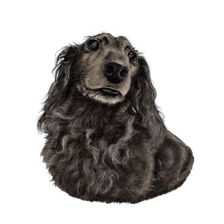 1a80132b 29a7 4510 8644 551861c0a769 1607093434824