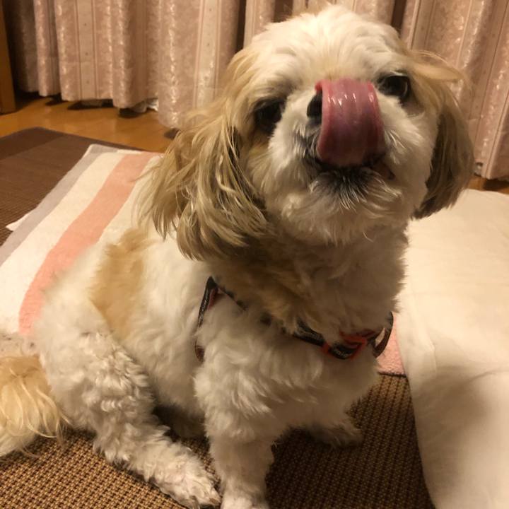 1a805529 4415 4ef6 a26c f24ddd8d212c 1625435148411