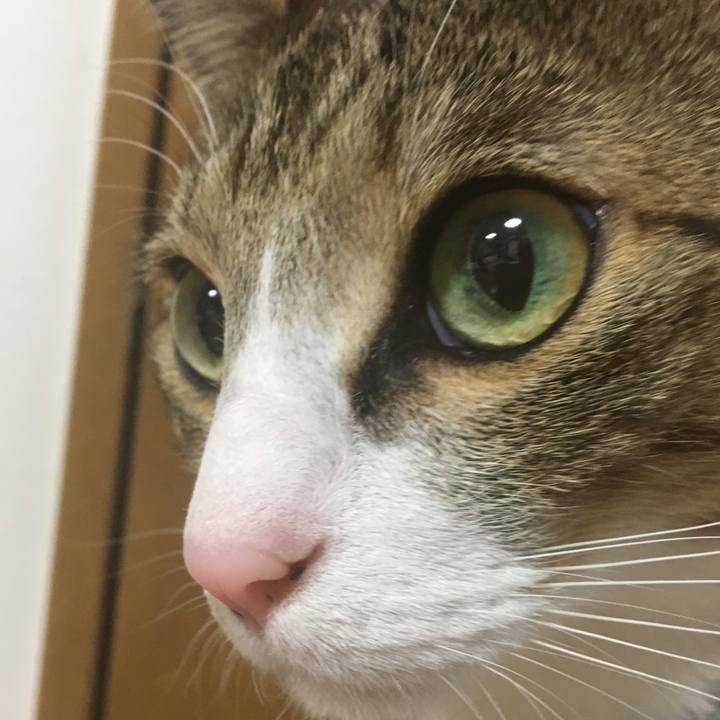 1a80a0dd 180b 41c1 a522 63b286c0b1fe 1687565629575