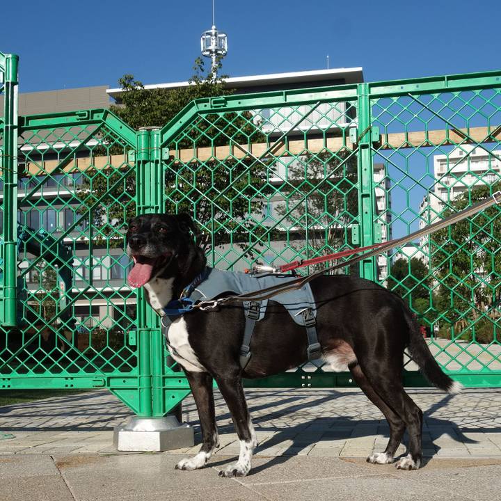 1a80a6b4 770a 4393 9208 4c8617c9c020 1725496117768