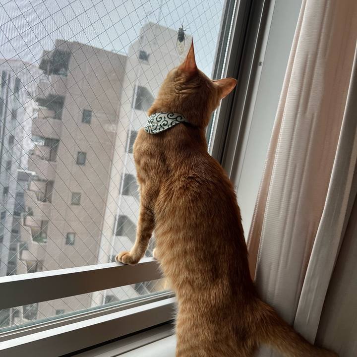 1a80c559 fd6b 40c8 91e6 2c9418d3a230 1657789415043