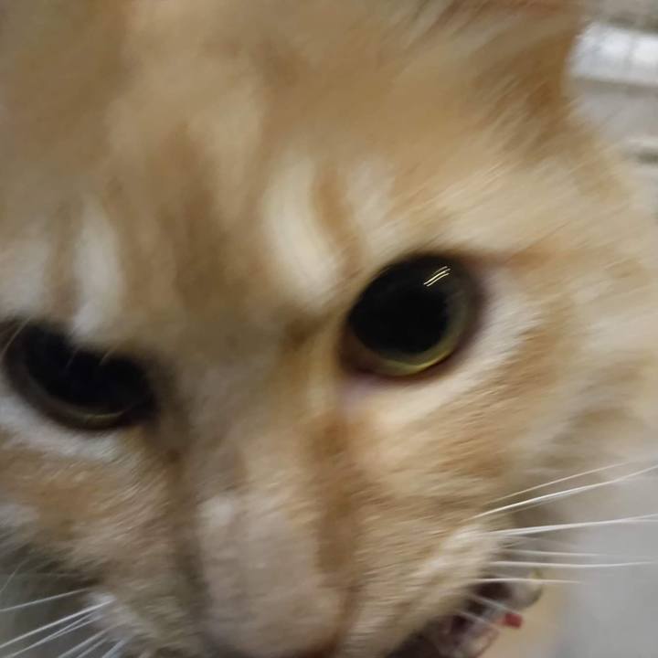 1a80db4d c9c0 4a76 9e45 bec6284eea88 1669027255479