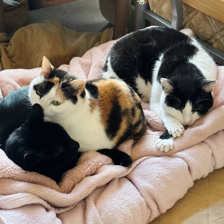 1a811646 8d11 4754 ad91 02403415f2df 1673754303678