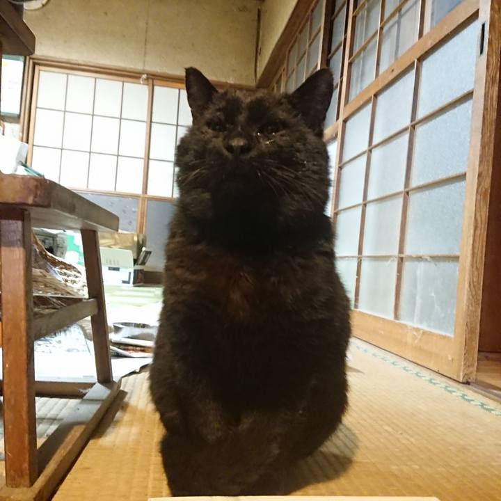 1a815498 663b 492a b579 8b3779c98d02 1618062141481