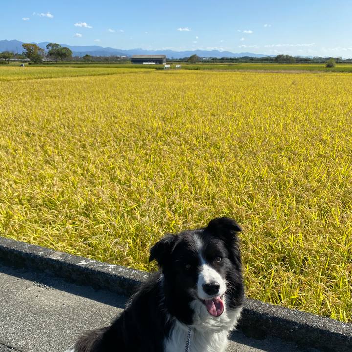 1a815889 c619 4a57 b40f aaae53f46511 1601946165286