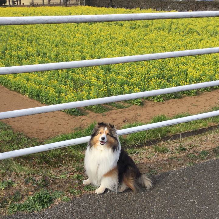 1a81669e 02ac 4e46 9678 88ffd3673a1a 1774508492542