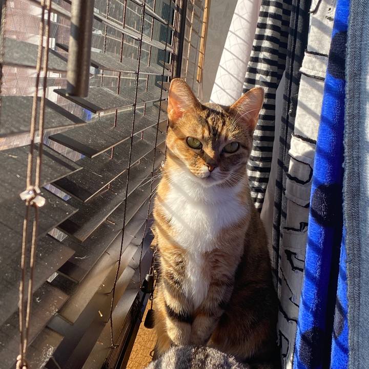 1a816d90 8ed8 4d7d 8ecf 56a81e5da2c1 1578624063287