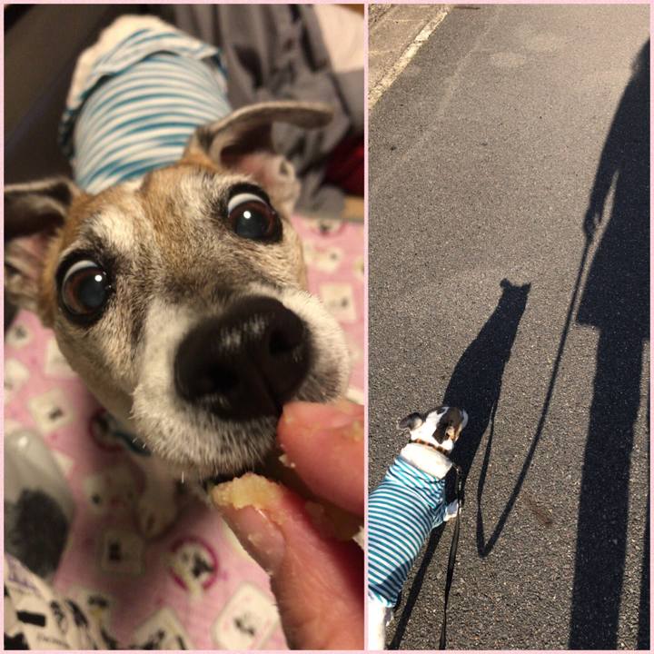 1a819d05 87d6 46b3 b183 a50c7b2d064d 1557445414579