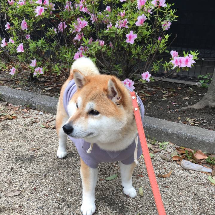 1a81f6a4 614f 483b b1ff 7e40ff7a5f5c 1556350415483