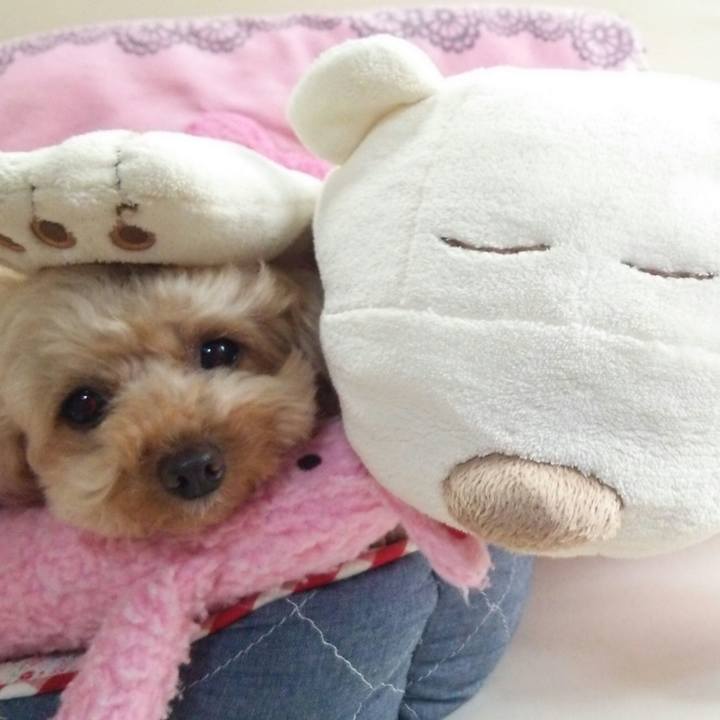 1a823be4 e8a3 4764 aac1 d5de77f089d6 1527858494131