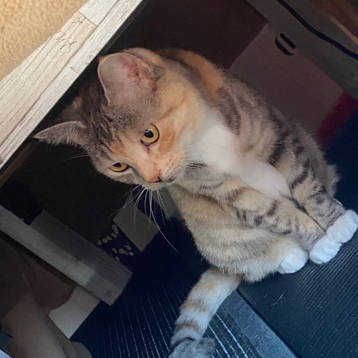 1a8251cb ec7a 4bbd b651 2558e8c4c9ed 1580521356559