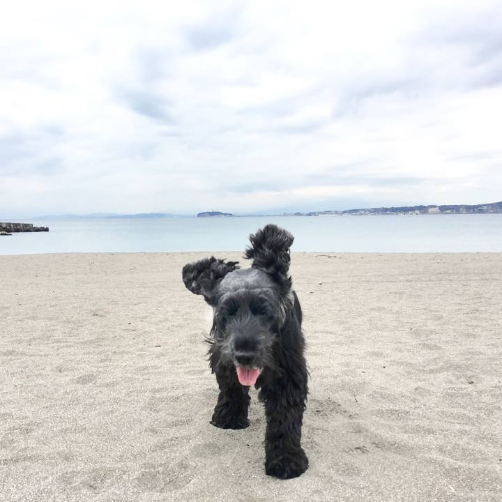 1a825668 d0fc 46aa aba3 43d6ce7d92d4 1550027446514